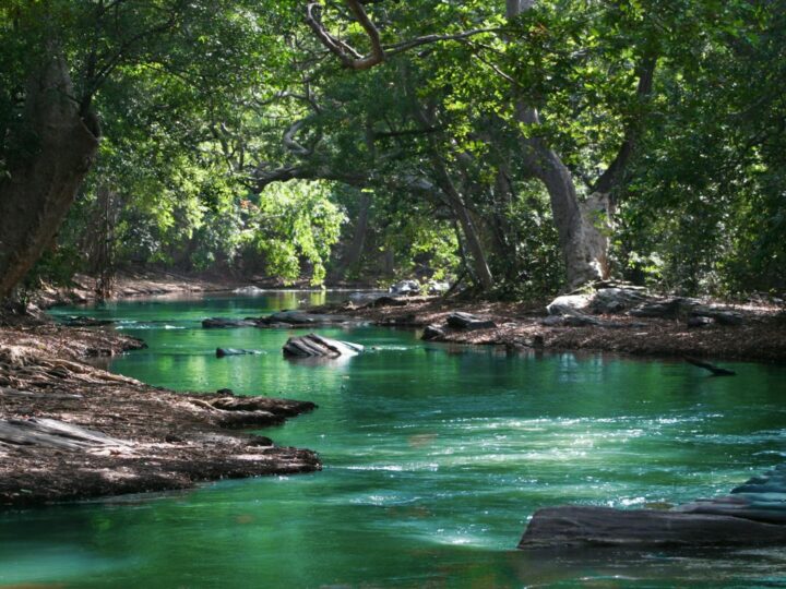 Parque Fluvial