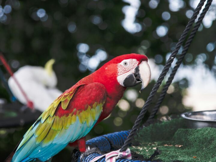 Zoo Magdeburg