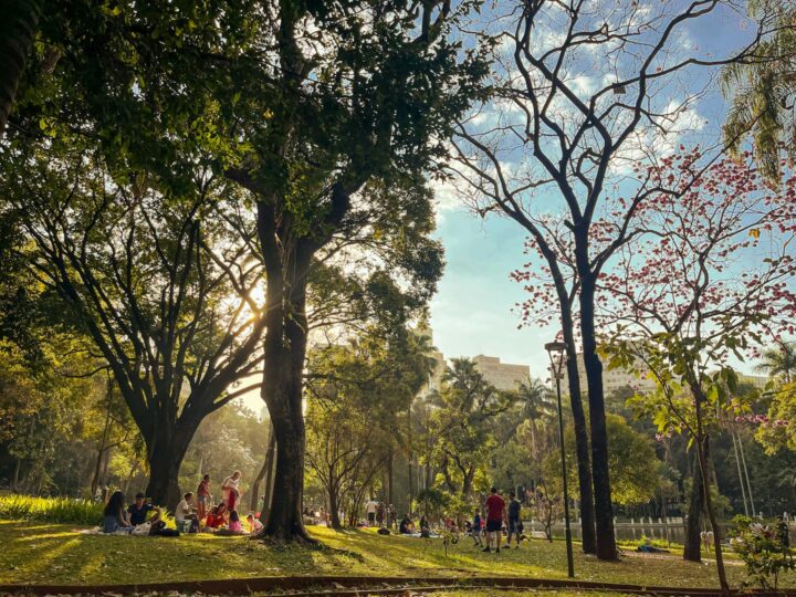 Parque Neuland
