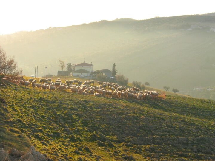 Park Naturalny Arribes del Duero