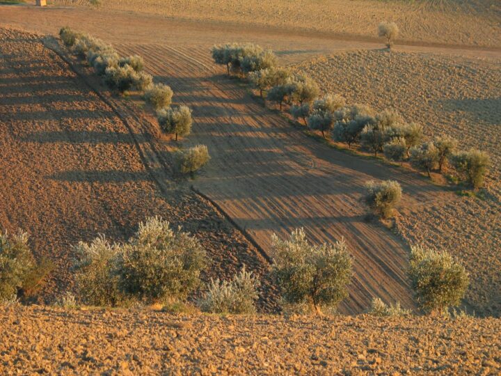 Park Naturalny Arribes del Duero