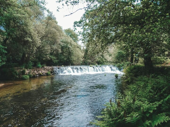 Parque da Cidade Manuel Braga