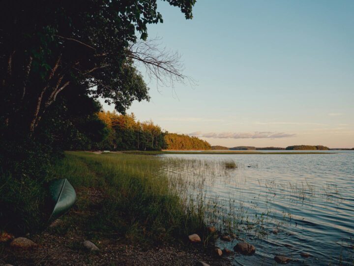 Floresta familiar de Ossiacher See