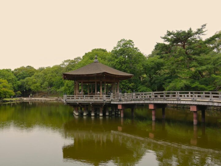 Parque Aqutico Nyonsoleado