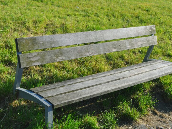 Marbury Country Park