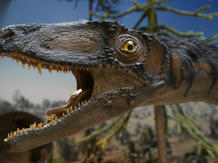 Museu Nacional de Cincia e Histria Natural