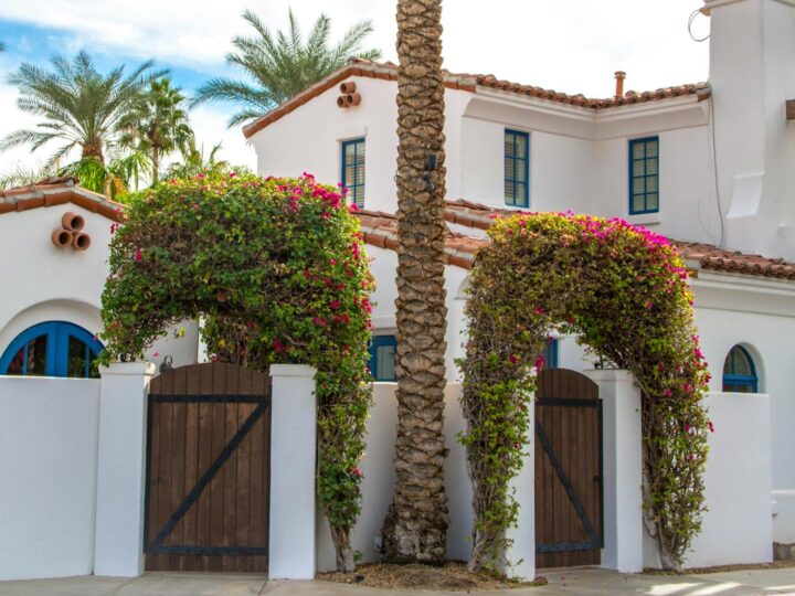 Villa romana La Olmeda