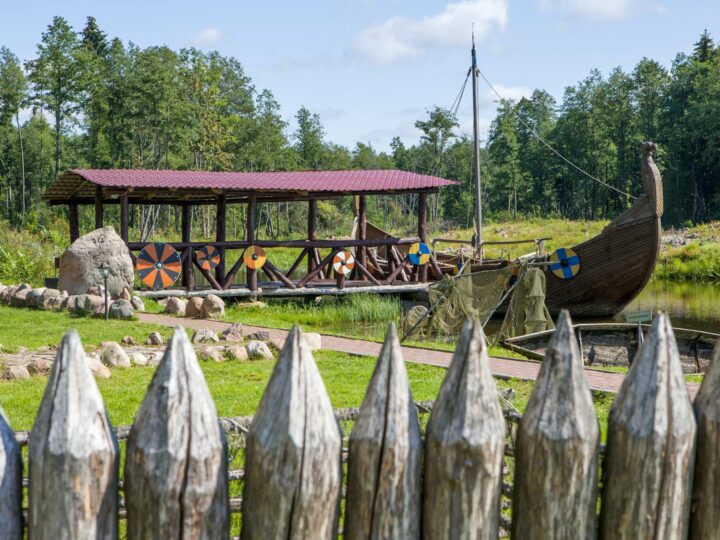 Viking Museum